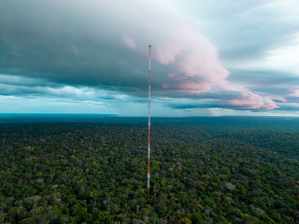 Poeira foi identificada por torre de pesquisa na Amazônia — Foto: Divulgação