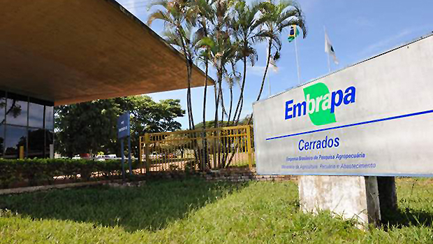 Foto:Reprodução