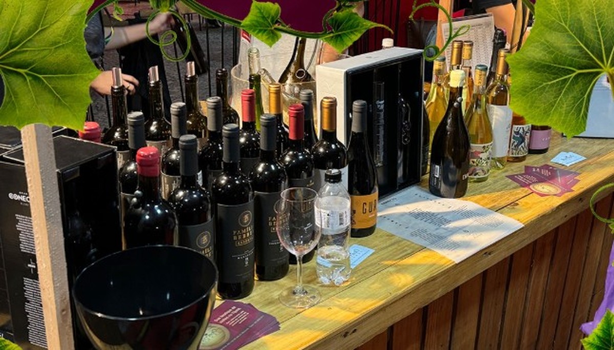 ViniBraExpo 2025 será de 15 a 17 de agosto na Barra (Foto: Reprodução @vinibraexpo)
