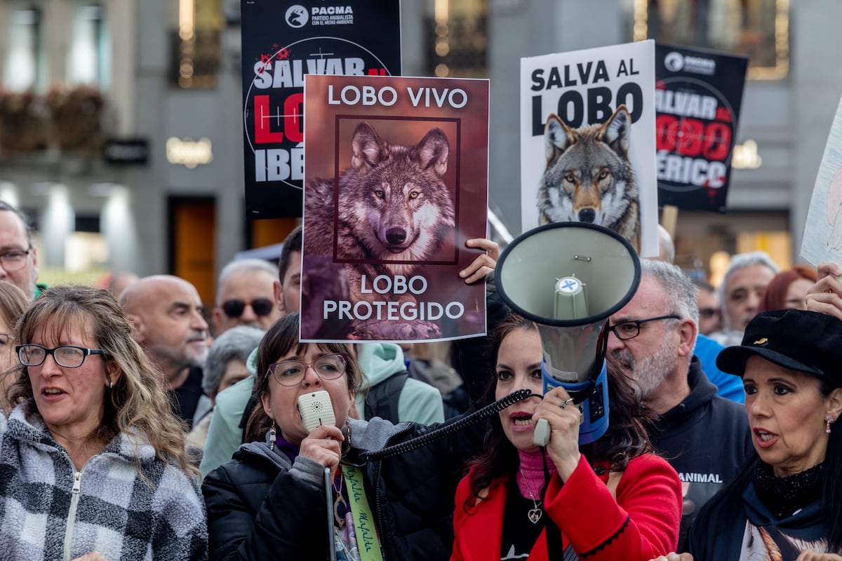 Foto:Reprodução