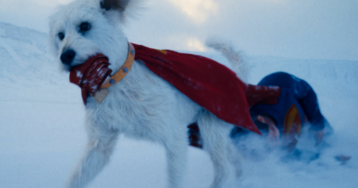 Veja a transformação do cachorro de James Gunn em Krypto de Superman (Foto: Reprodução)