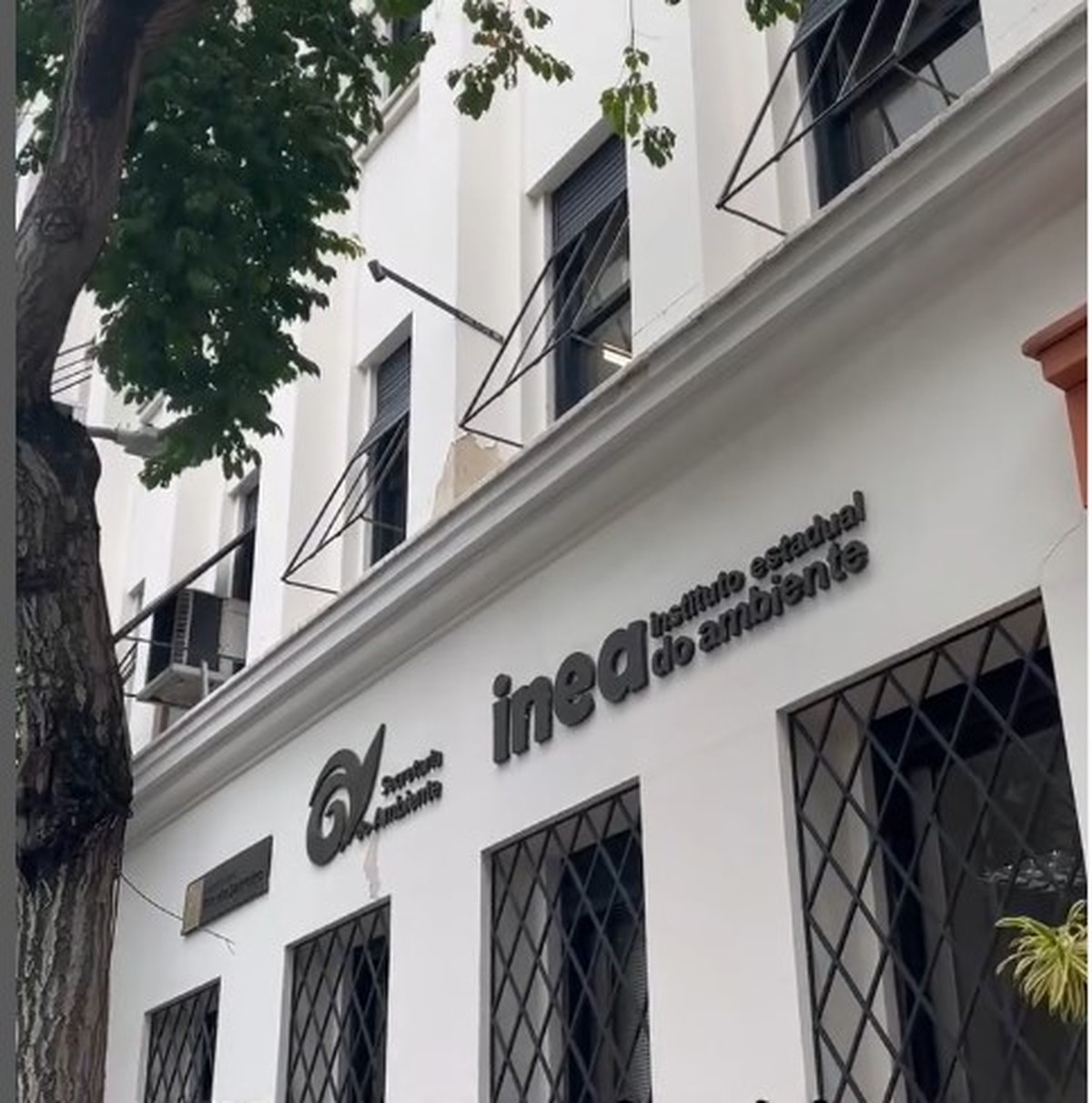 Foto:Reprodução