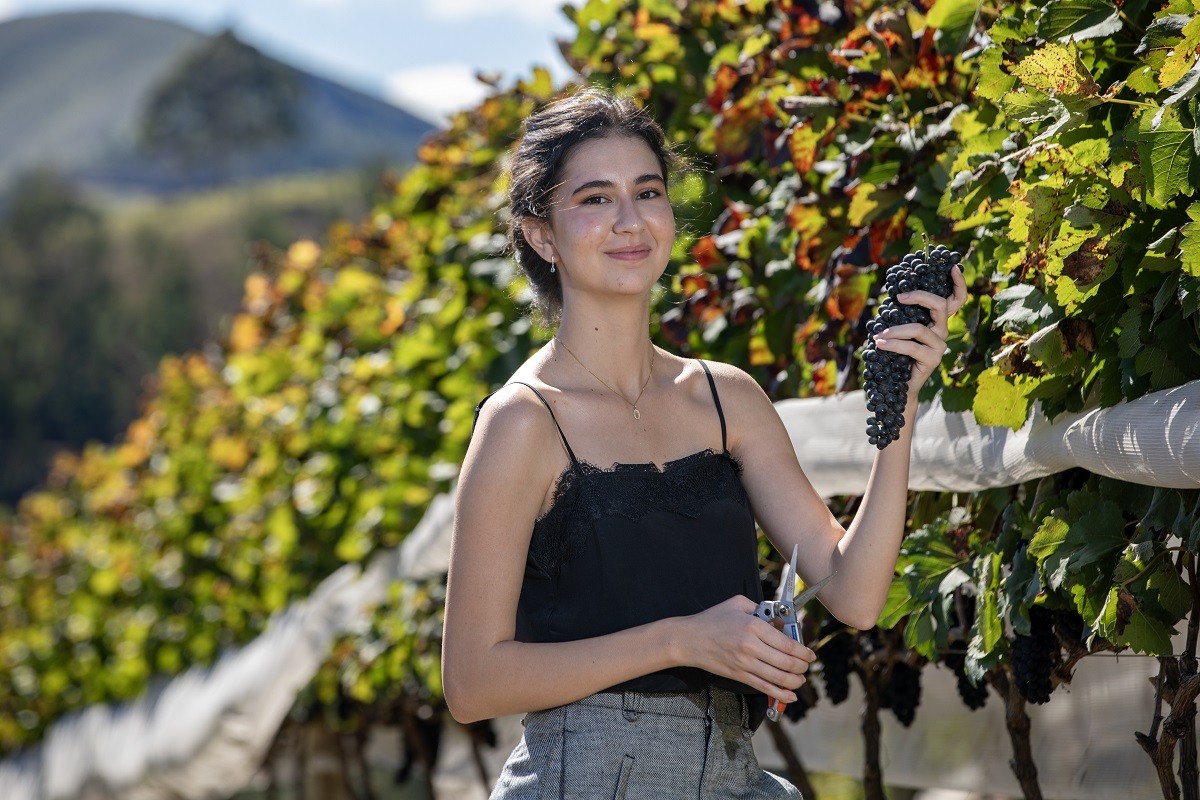 Maturano, nova vinícola, inaugura em outubro em Teresópolis A produtora Manuela Maturano com um cacho de Syrah (Foto: Ana Branco / Agência O Globo)