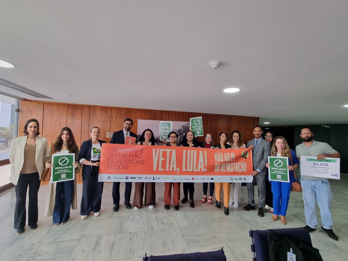Entidades entregam o abaixo-assinado no Palácio do Planalto — Foto: Divulgação