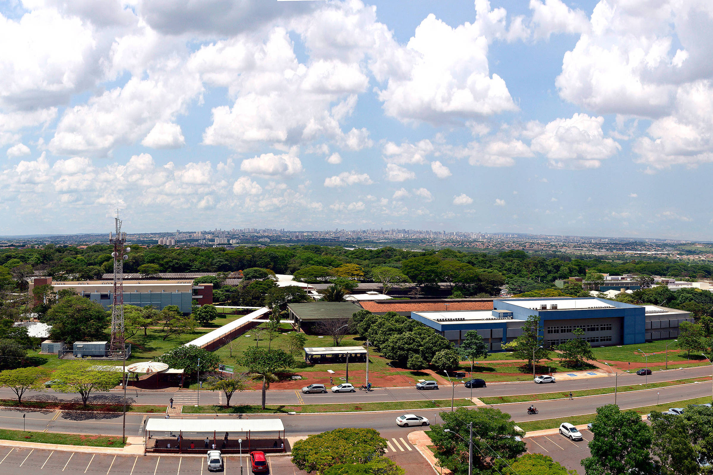 Foto:Reprodução