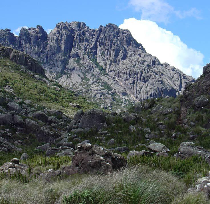 Grupo é resgatado de helicóptero após se perder no Pico das Agulhas Negras Grupo se perdeu após um dos integrantes se machucar na trilha de escalada no Pico das Agulhas Negras, no Parque Nacional do Itatiaia (Foto: Parque Nacional do Itatiaia/Divulgação)