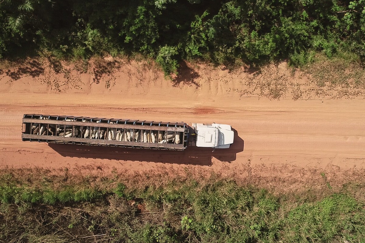 Foto:Reprodução