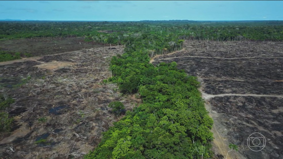 Pontos de não retorno ameaçam o equilíbrio ambiental do planeta Desmatamento na Amazônia aumenta no primeiro semestre de 2025 depois de 2 anos em queda (Foto: Reprodução/TV Globo)