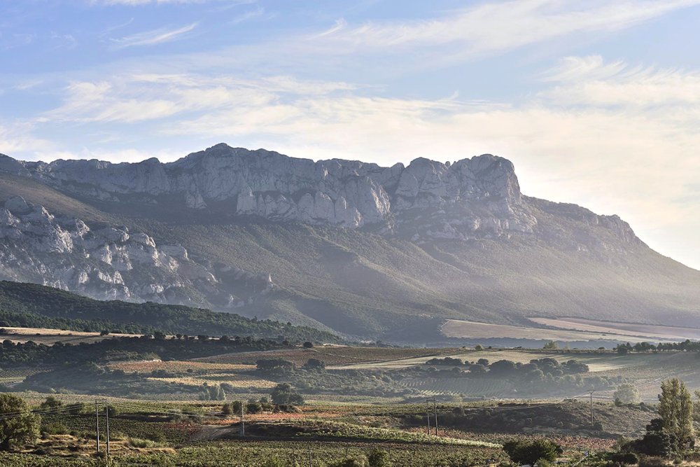Rothschild destaca a Rioja como destino favorito para o enoturismo Foto: Reprodução