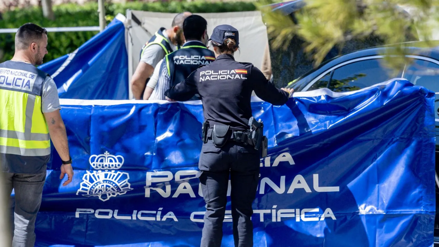 Foto:Reprodução