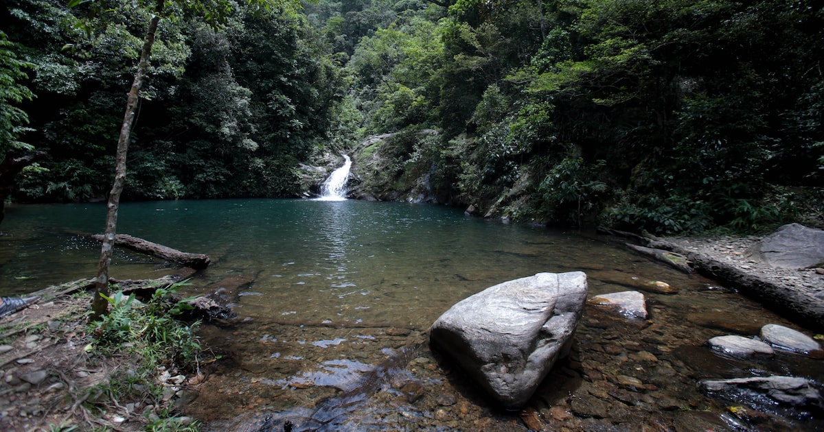 Foto:Reprodução
