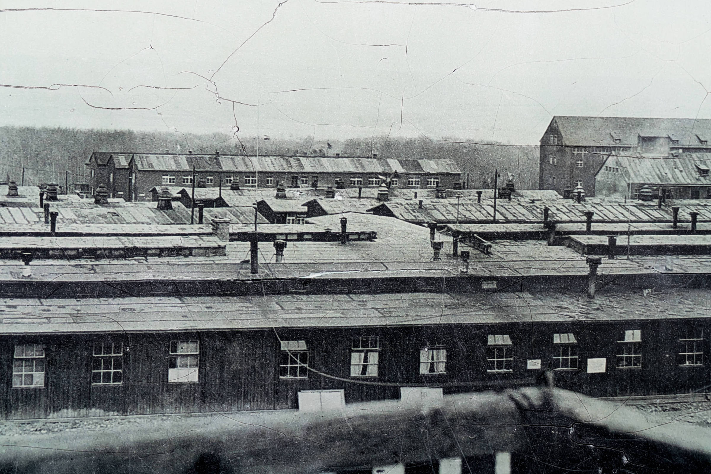 Partido de extrema direita propõe fechamento de memorial de campo de concentração Mais de mil alemães foram obrigados a participarem de tour no campo de concentração para verem os horrores do Holocausto (Foto: Walter Chichersky/Arquivo Nacional de Washington)