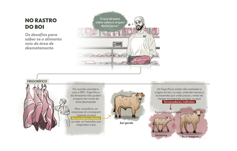 Carne rastreada: como garantir que o boi não contribuiu para o desmatamento No rastro do boi — Foto: Bárbara Miranda, Bruna Azevedo, Bianca Batista e Luisa Rivas | Arte g1