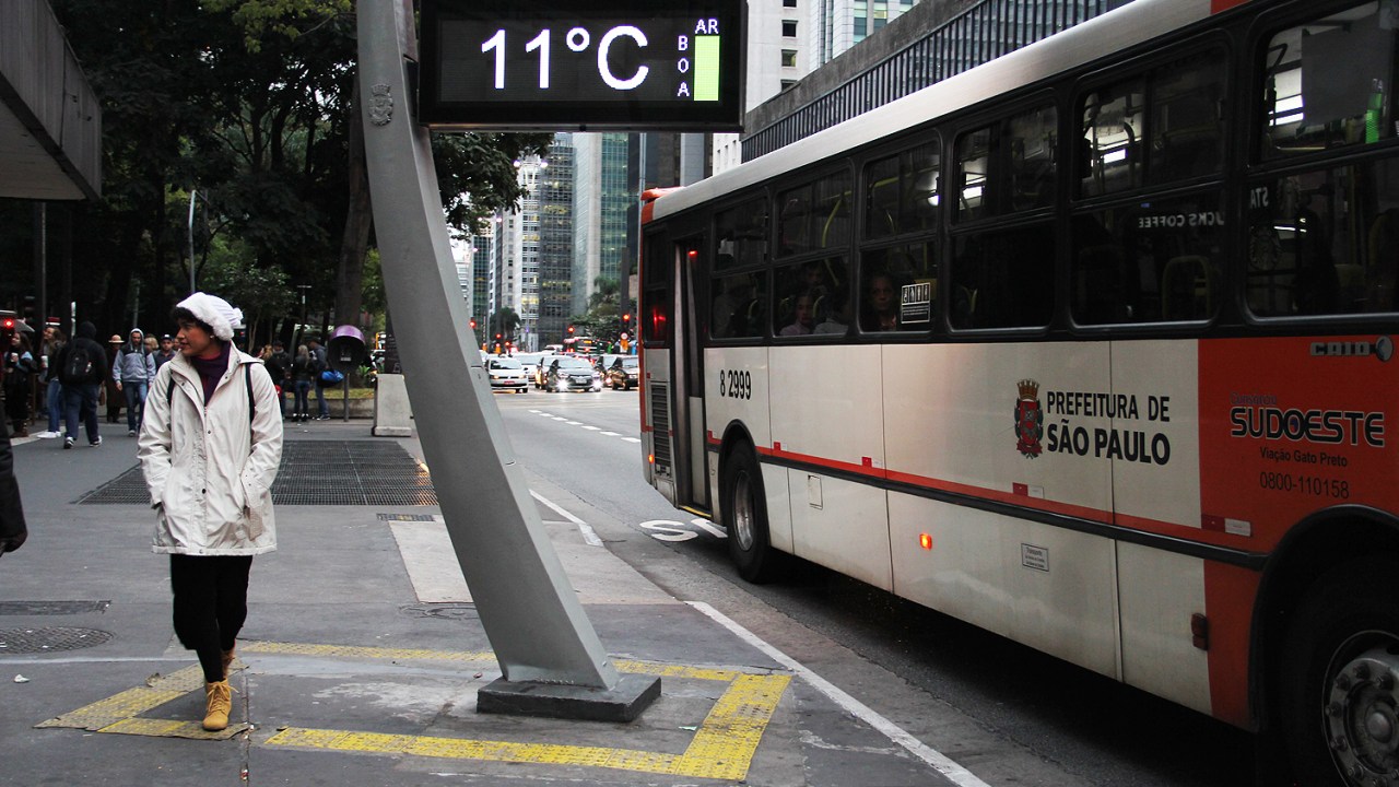 Frio intenso e neblina marcam a previsão do tempo em São Paulo nesta quarta-feira Frio em São Paulo (Rovena Rosa/Agência Brasil)