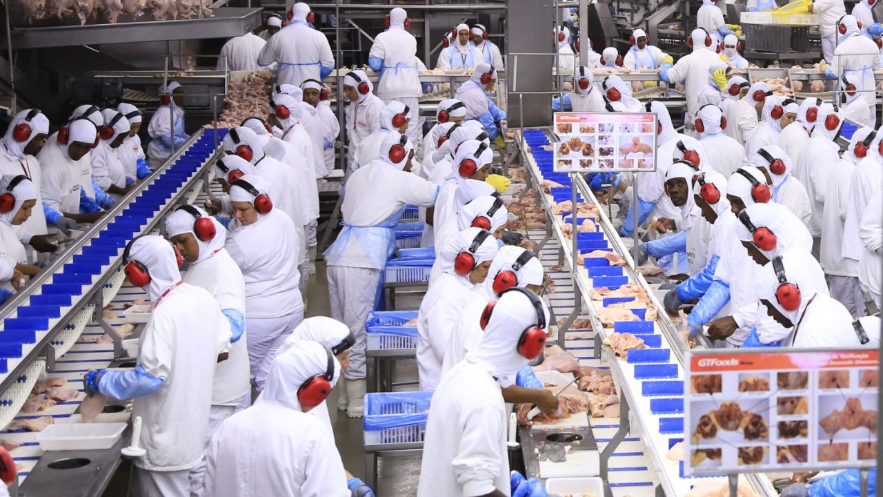 GTFoods destina R$ 180 milhões para nova fábrica e amplia sua produção Foto: Reprodução