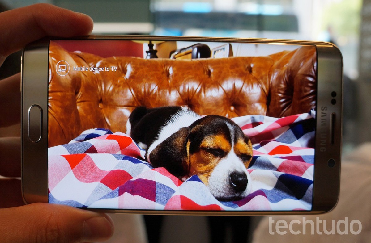 Cachorros e gatos reconhecem vozes humanas por meio de celulares, revela estudo Cachorro ou gato reconhece sua voz pelo celular? Veja o que diz a ciência (Foto: Thássius Veloso/TechTudo)