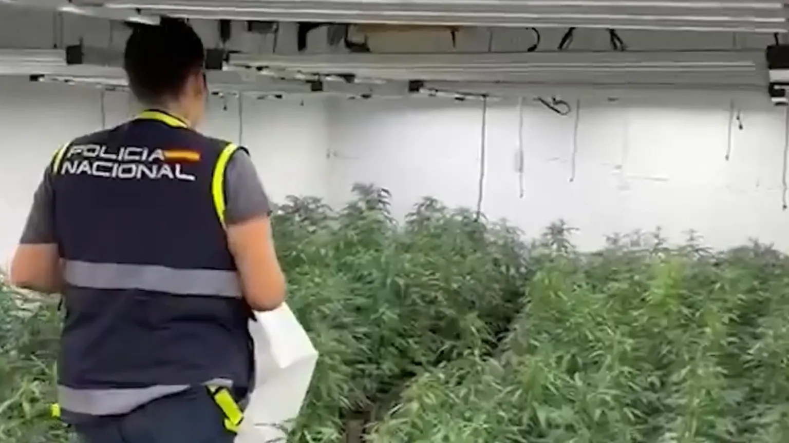 Mais de uma dezena de pessoas são presas na Espanha por contrabando de maconha em sacos de ração