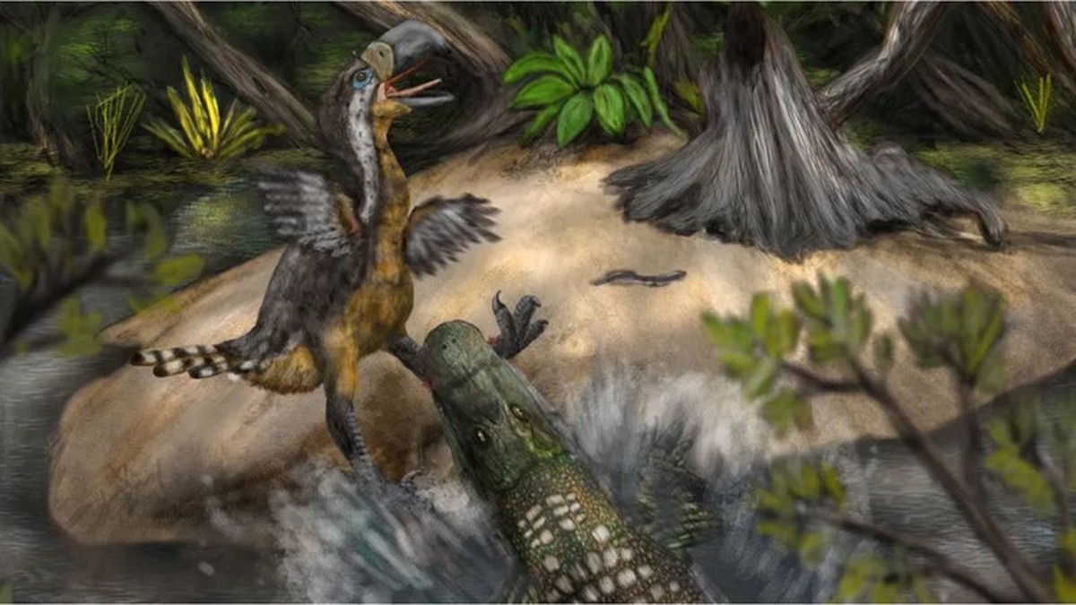 Fóssil revela que ave pré-histórica foi morta por jacaré gigante há 13 milhões de anos Marcas de mordidas fossilizadas indicam a possibilidade de um confronto dramático entre uma ave do terror gigantesca e um jacaré (Foto: Divulgação/Biology Letters)