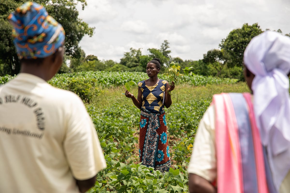Ex-tabacaleiro encontra nova profissão e aumenta renda com menos trabalho Sprina Robi Chacha explica a outros agricultores do condado de Migori (ao sudoeste de Quênia) as vantagens de mudar os cultivos de tabaco por alimentos (Foto: Organização Mundial de la Salud).