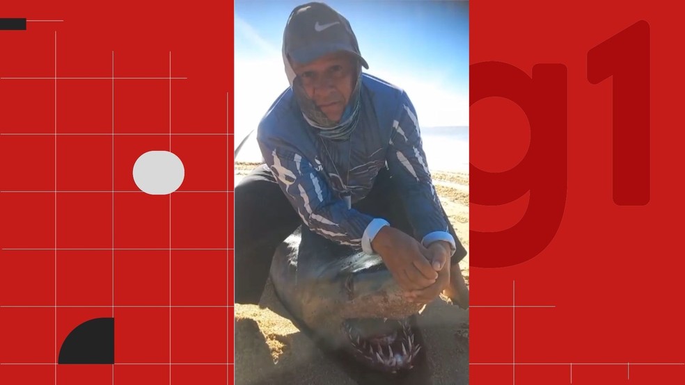 Tubarão com bico de marlin cravado na cabeça é encontrado morto em praia do ES Pescador Eduardo Veríssimo encontrou tubarão de mais de 300 kg morto em praia de Marataízes, no Sul do Espírito Santo (Foto: Reprodução/Redes sociais)