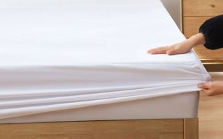 Elimine os ácaros do colchão e roupas de cama em cinco etapas simples Foto: Reprodução