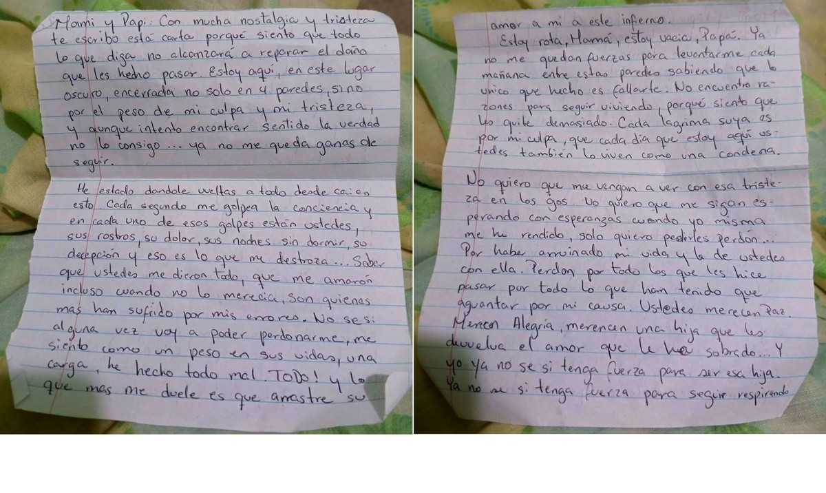 Jovem é condenada a dez anos de prisão por críticas ao governo na Venezuela Merlys Oropeza, de 25 anos, foi presa na Venezuela após fazer críticas ao governo nas redes sociais (Foto: Reprodução)