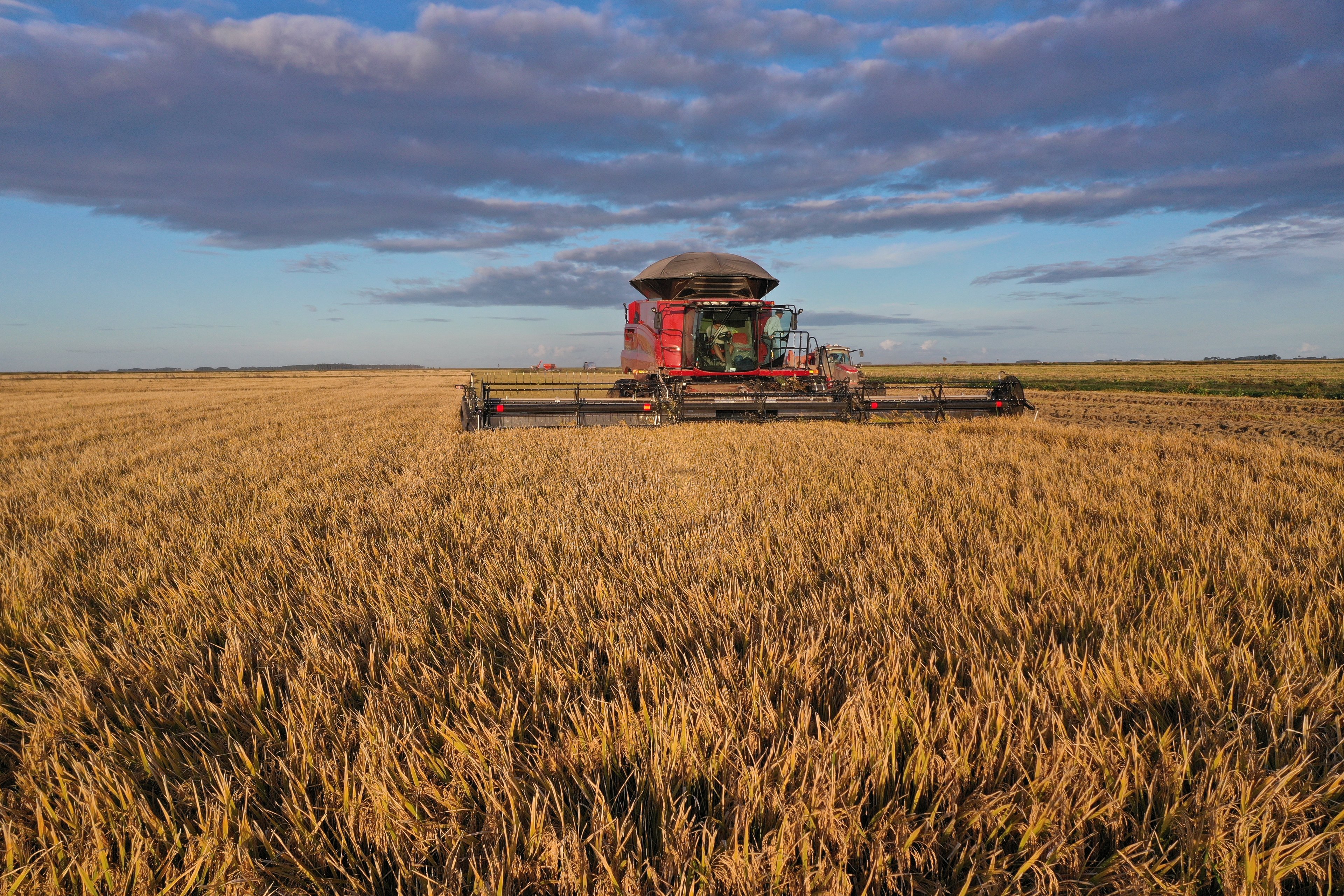 Chengdu combina tradição agrícola e tecnologia digital para transformar o campo Preço de fertilizante dispara mais de 20% em meio à piora do conflito no Irã e acende alerta no agro (Foto: Reprodução)