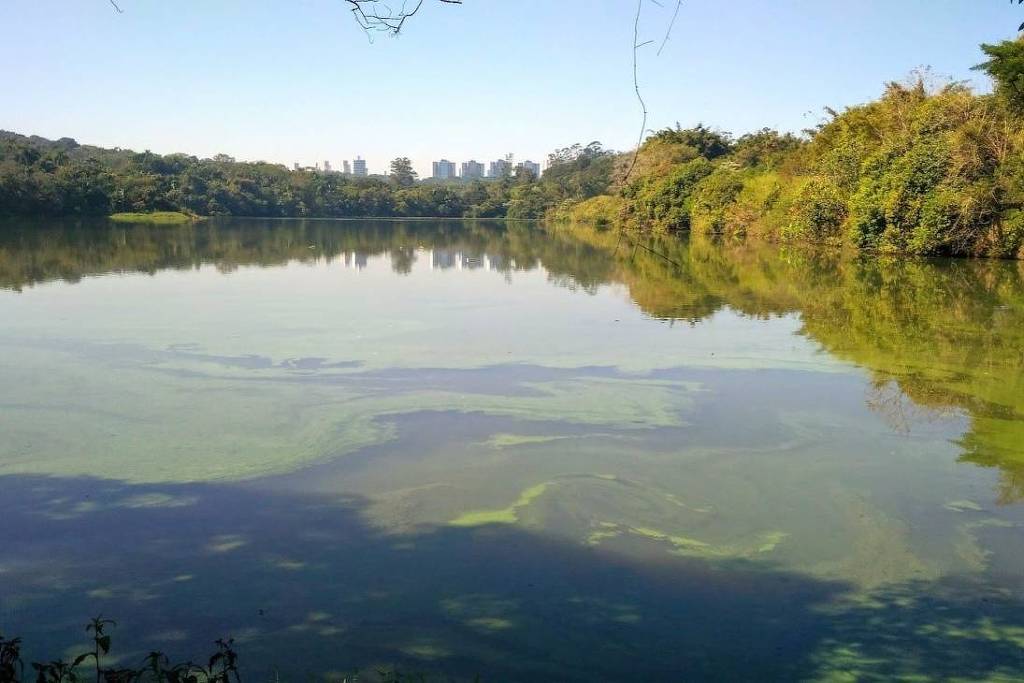 Foto:Reprodução