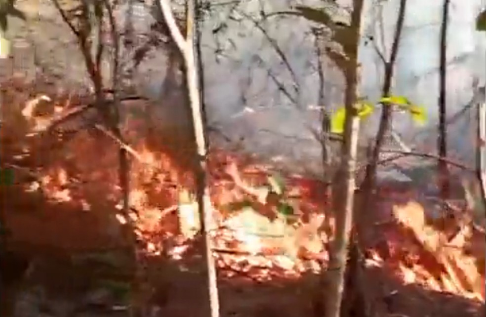 Incêndio criminoso no Parque do Juquery destrói área de 2.000 m² e adolescentes são soltos Fogo no Parque Estadual do Juquery — Foto: Prefeitura de Franco da Rocha
