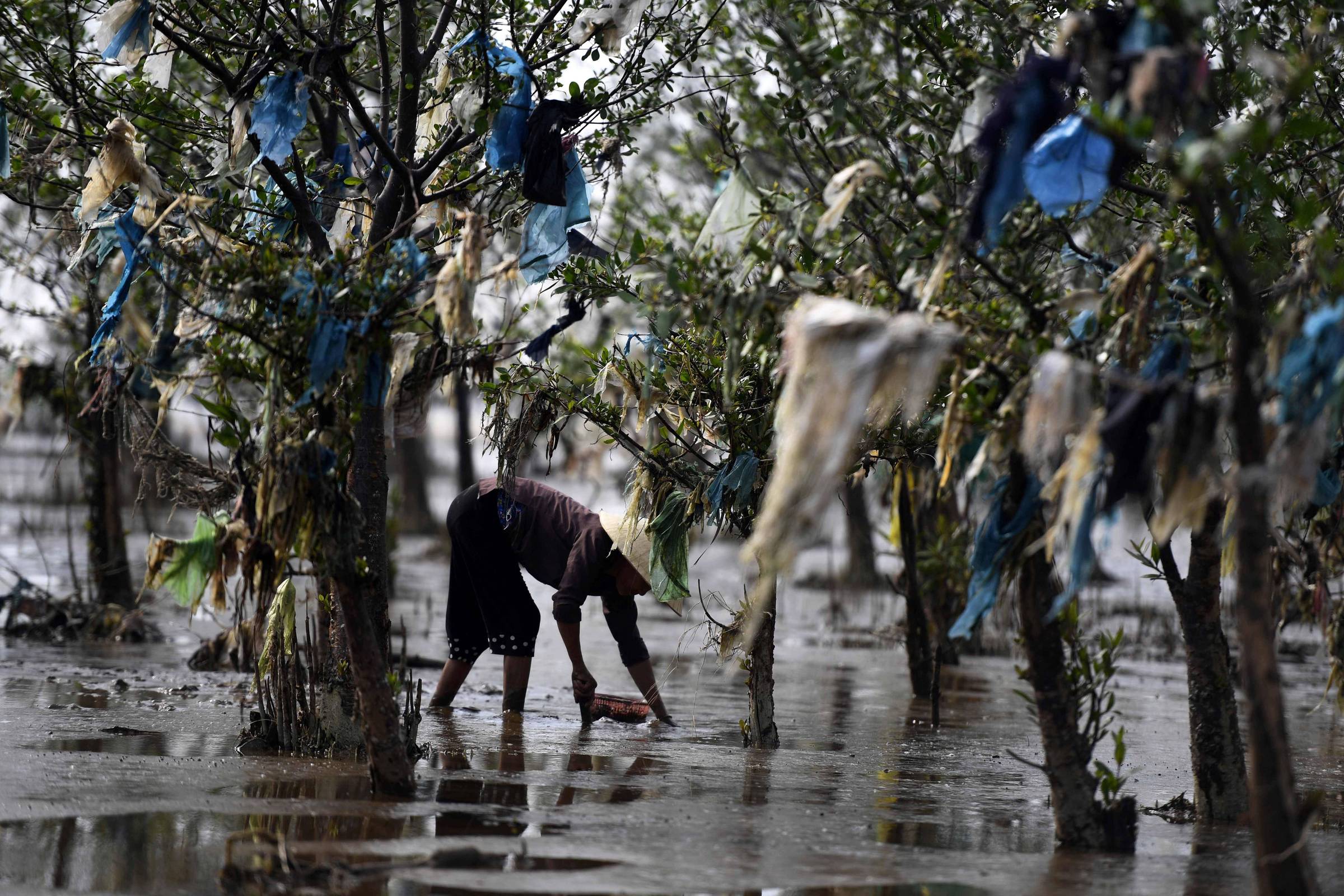 Mulher vietnamita coleta conchas em área de vegetação costeira repleta de resíduos plásticos após alta da maré (Foto: Nhac Nguyen - 18.mai.18/AFP)