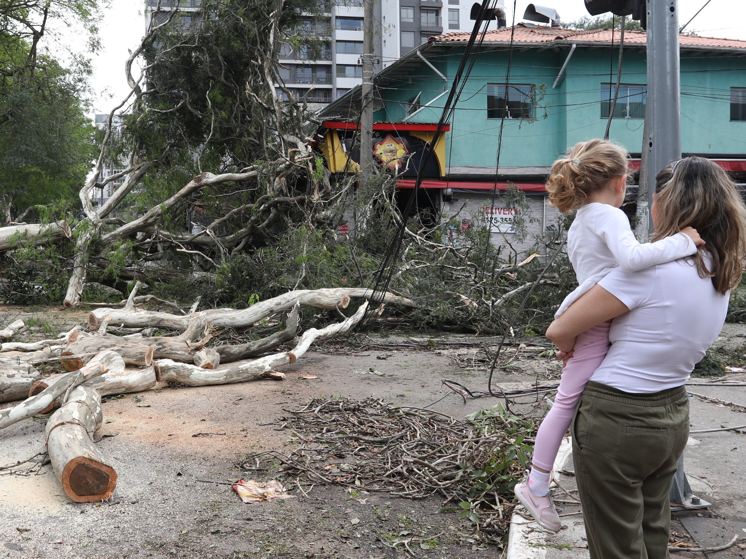 Defesa Civil prevê ventos fortes em São Paulo entre domingo e segunda-feira O temporal, seguido de vento forte, que atingiu a capital paulista, derrubou árvores em outubro de 2024 (Foto: RENATO S. CERQUEIRA/ATO PRESS/ESTADÃO CONTEÚDO)