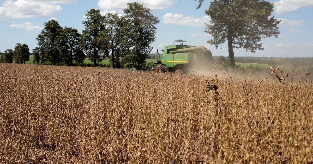 Bradesco projeta crescimento na carteira do agro com inadimplência controlada