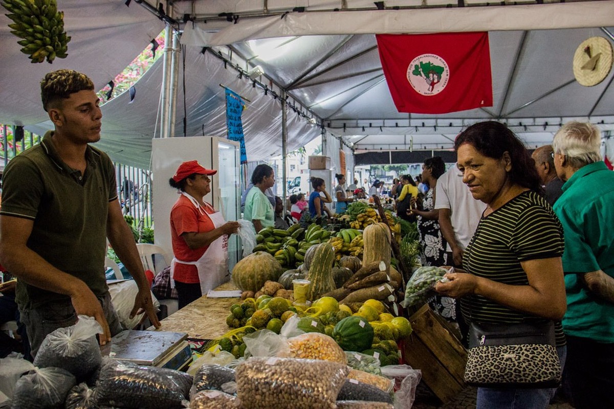 Cooperativa do MST busca financiamento popular para impulsionar agricultura familiar Alimentos orgânicos e agroecológicos à venda em feiras do MST (Foto: Divulgação)