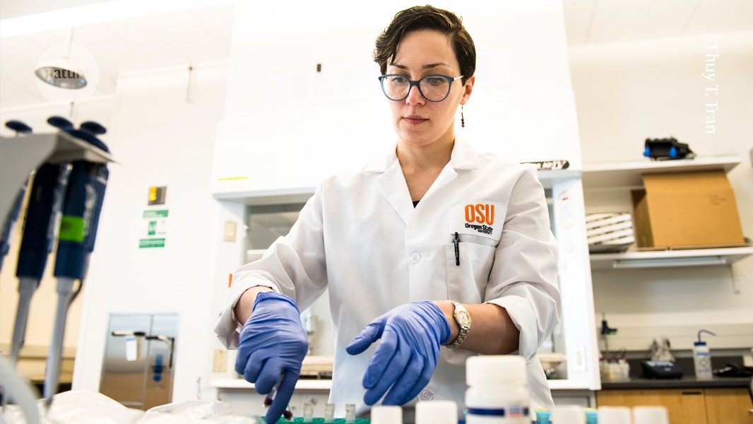 Como garantir a continuidade da sua pesquisa após a suspensão de um financiamento federal Tala Navab-Daneshmand trabalhando em um projeto para analisar amostras de água residuais em busca de resistência a antibióticos, cuja concessão foi encerrada pela Agência de Proteção Ambiental dos EUA. (Foto: Thuy T. Tran)