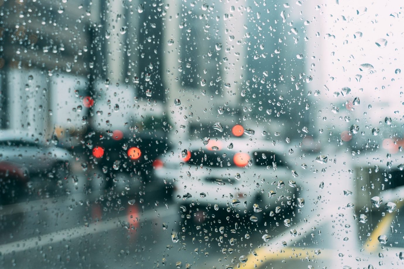 Chuva ácida aumenta e estudo aponta ação humana como possível causa Projeto ousado de startup de US$ 10 bilhões para ressuscitar espécie extinta há 600 anos (Foto: Reprodução)