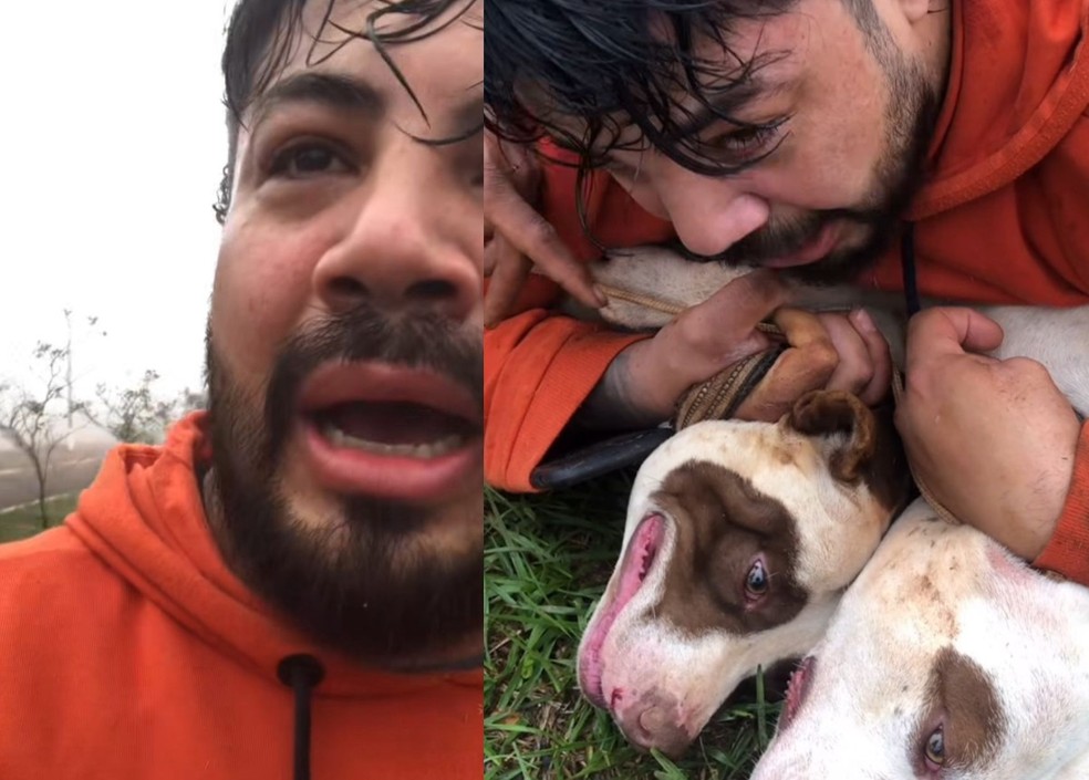 Especialista ensina técnicas eficazes para se proteger de ataques de cães perigosos Professor de Muay Thai imobilizou cachorros. (Foto: Arquivo pessoal/Reprodução)