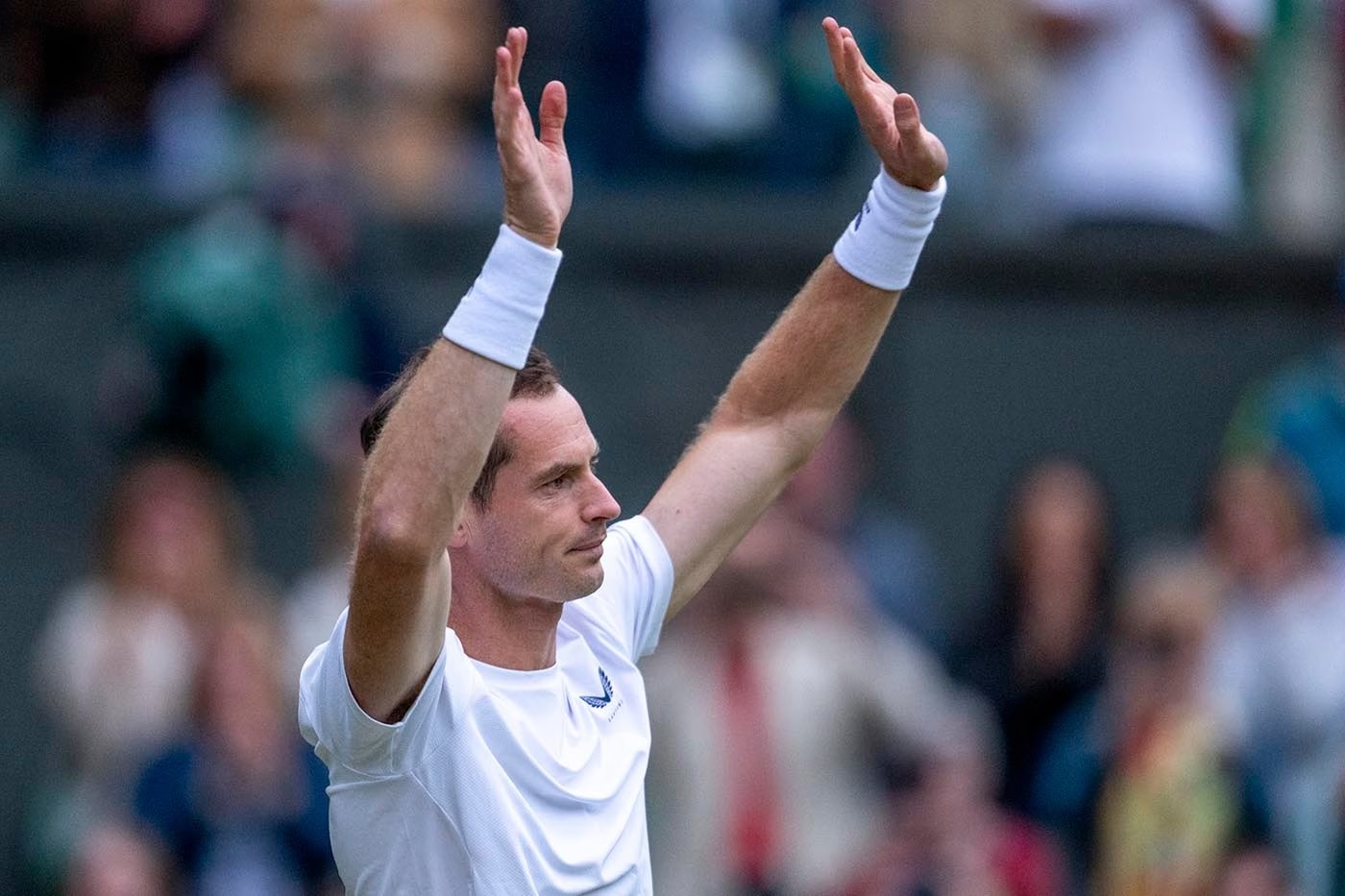 Wimbledon planeja estátua de Murray para celebrar 150 anos do torneio Foto: Reprodução