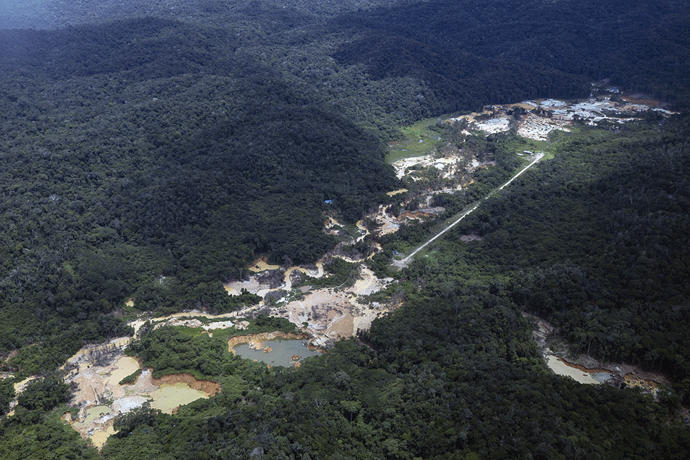 Foto:Reprodução