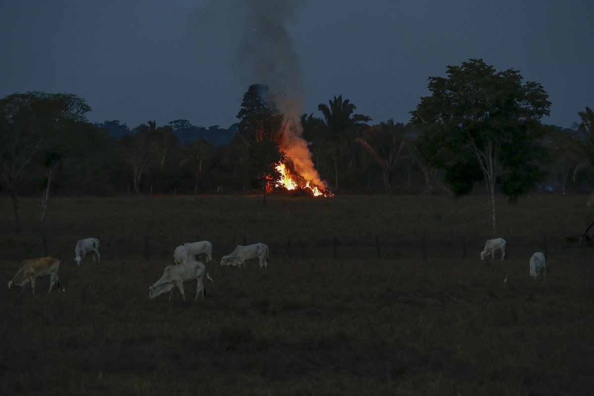 Foto:Reprodução