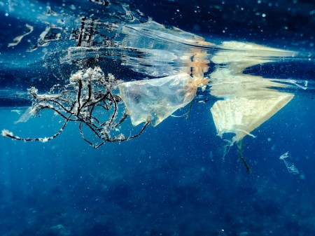 UFSCar revela efeitos da ocupação desordenada nas praias do Brasil Primeira edição reuniu debatedores das áreas de química, materiais, ecologia e oceanografia (Foto: Naja Bertolt Jensen/Unsplash)