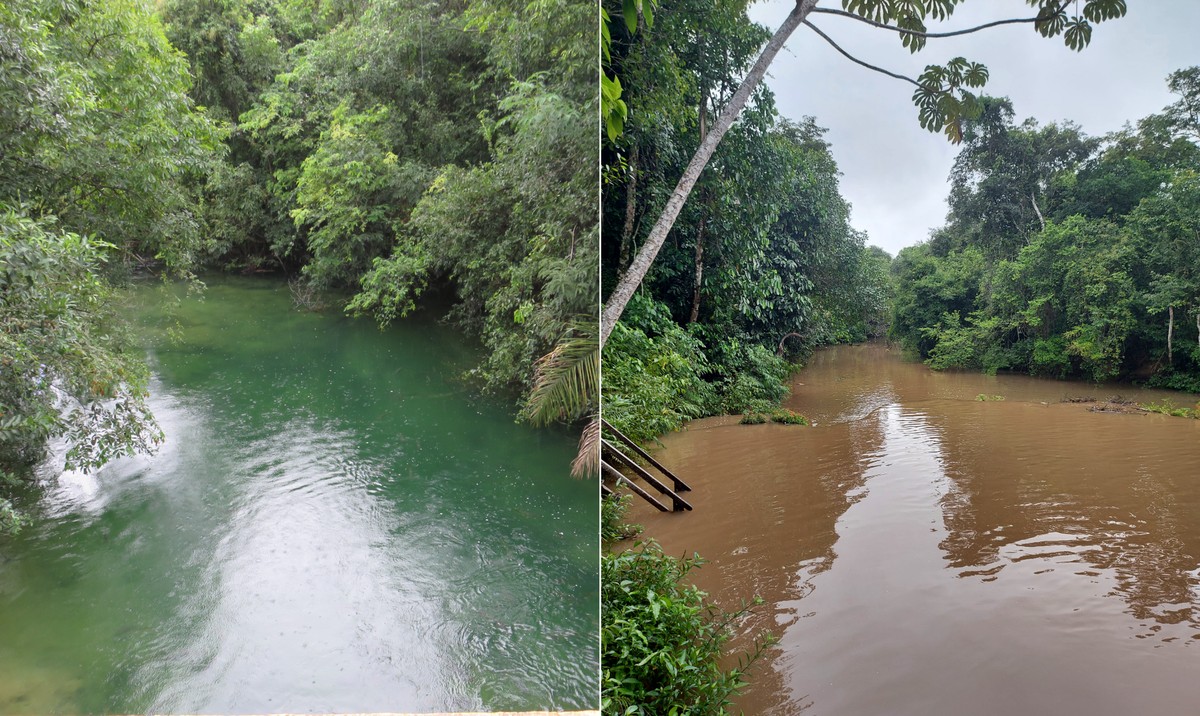 Foto:Reprodução