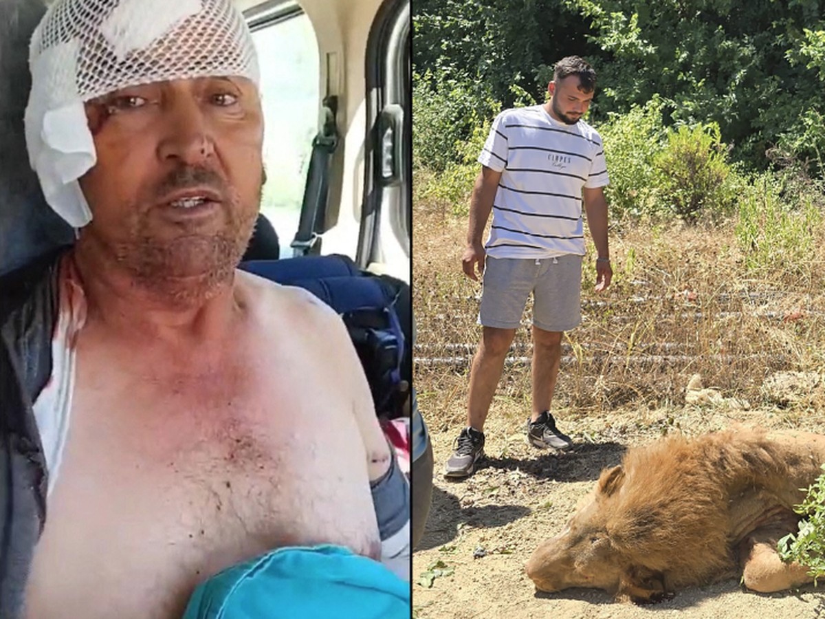 Turco relata luta pela vida após acordar com leão fugitivo ao seu lado Suleiman Kir lutou contra leão para se salvar, em Antália, na Turquia (Foto: DHA (Demiroren News Agency) / AFP)