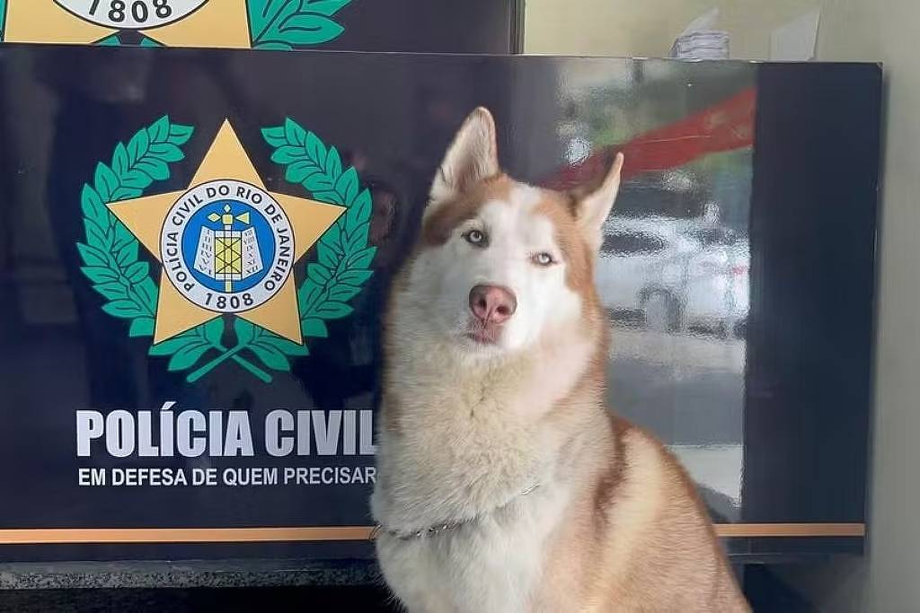 Foto:Reprodução