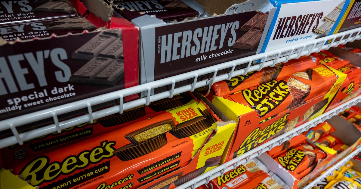 Cacau em pó escasso desafia indústrias de chocolate a inovar na produção Os preços do cacau em pó nos EUA estão sendo negociados perto do patamar recorde registrado em fevereiro (Foto: David Paul Morris/Bloomberg)