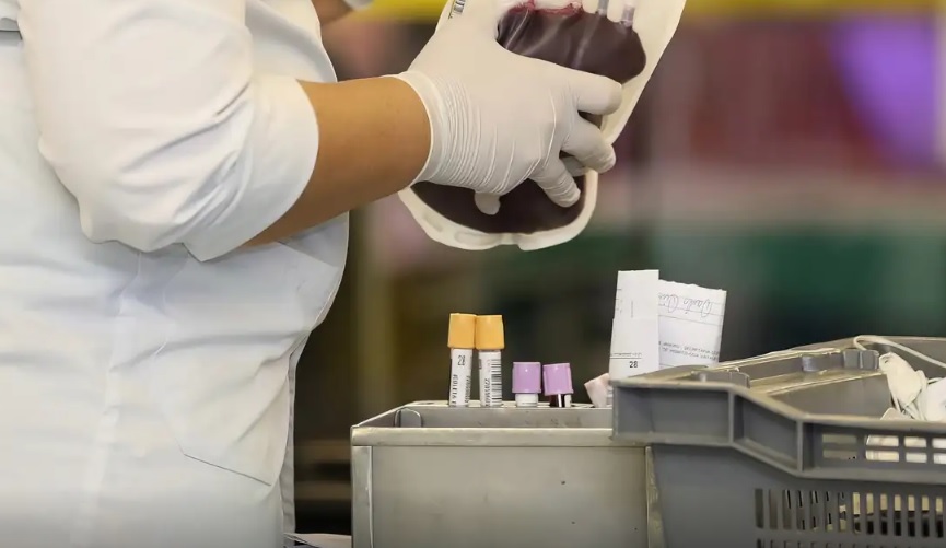 Testemunhas de Jeová podem recusar transfusão de sangue em procedimento no SUS, decide STF (Foto: Hemorio/Divulgação)