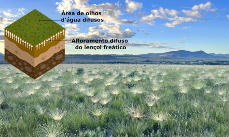 Os olhos d’água difusos (áreas de solos saturados permanentemente ou sazonalmente pelo afloramento do lençol freático) compõem formações como os campos úmidos e são protegidos como APPs pela Lei 12.651/2012 (Foto: Rafael Oliveira/Perspectives in Ecology and Conservation)