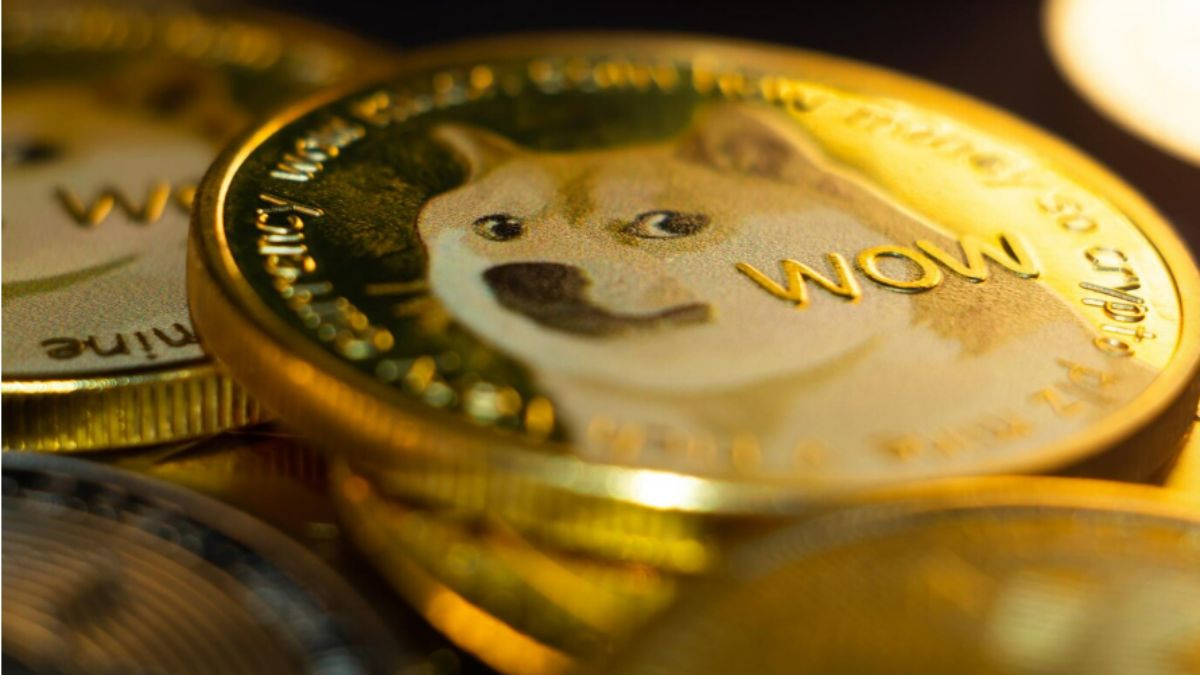 Investidores devem conhecer riscos antes de apostar em memecoins no mercado cripto Foto: Reprodução