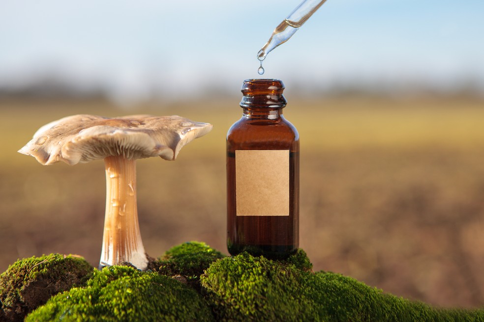 O impacto da presença de resíduos de medicamentos no meio ambiente afeta diversas regiões do mundo (Foto: Adobe Stock)