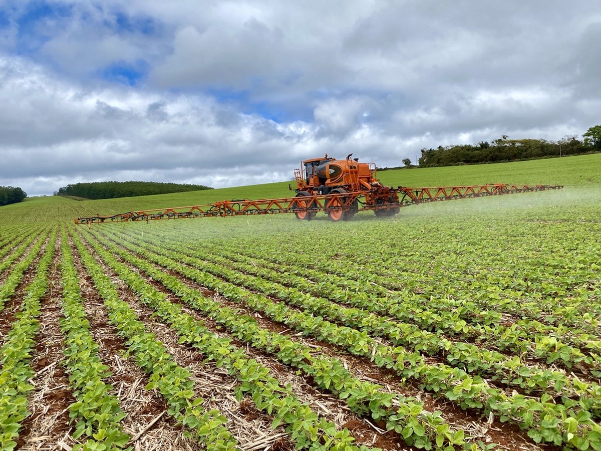 IGP-M registra queda de 1,67% em junho com influência das safras agrícolas Plantação de feijão em Capão Bonito, interior de SP (Foto: Divulgação)