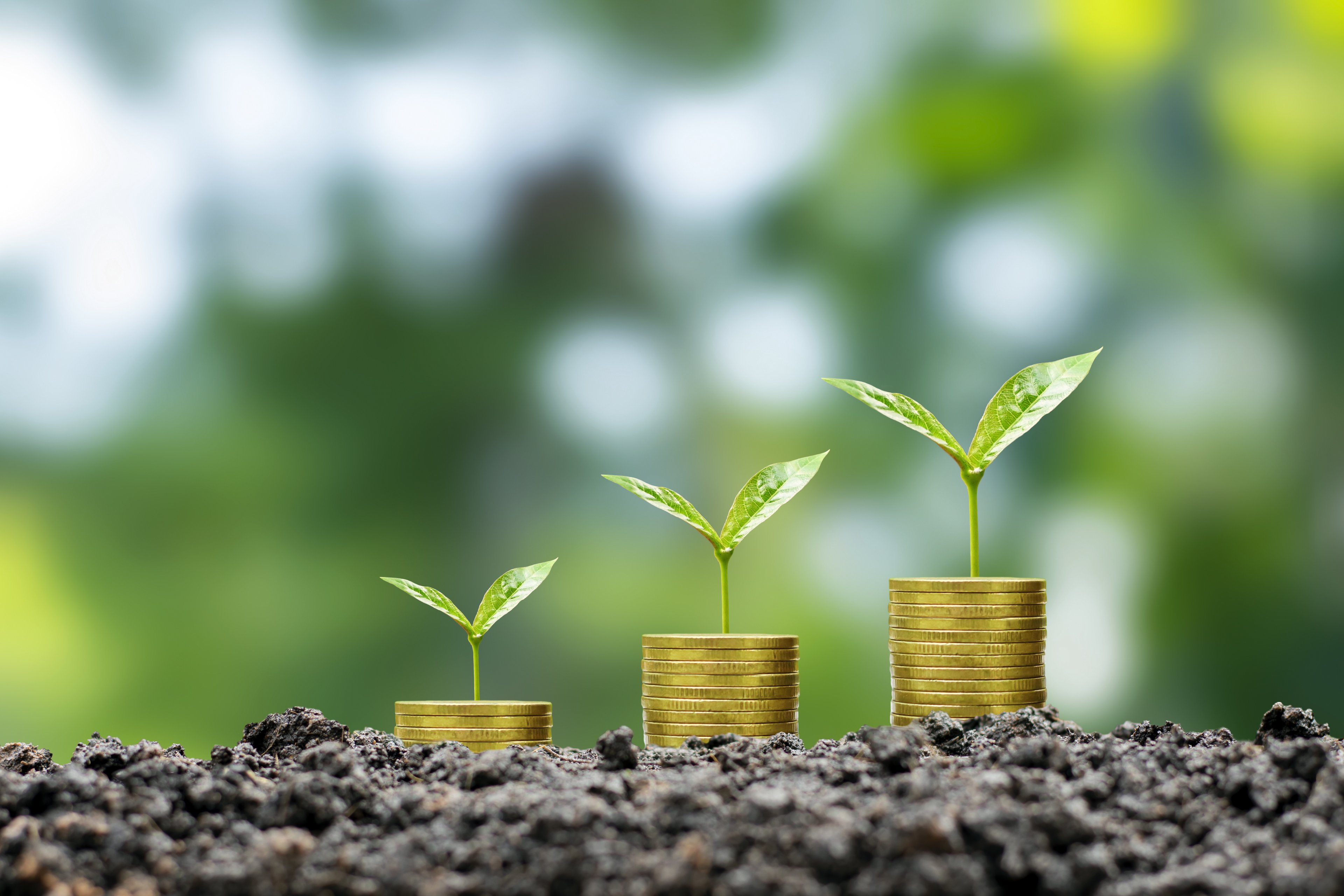 Instituto Clima e Sociedade cria hub para unir clima e economia em novas ações As mudanças climáticas podem reduzir o PIB global em 22% até 2100 (Foto: Freepik)